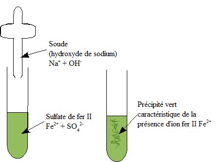 identification des ions fer II